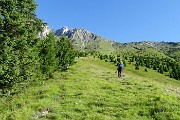 Presolana orientale ad anello con Monte Visolo il 15 luglio 2016- FOTOGALLERY